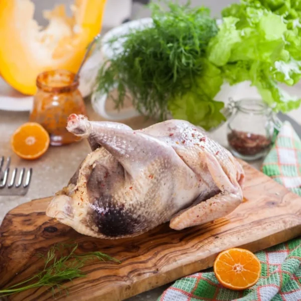 Guinea Fowl