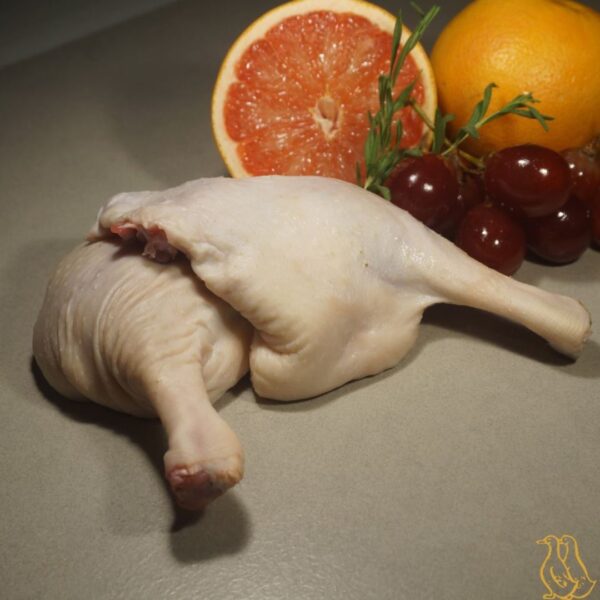 Duck Leg
