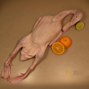 Pekin Duck Whole