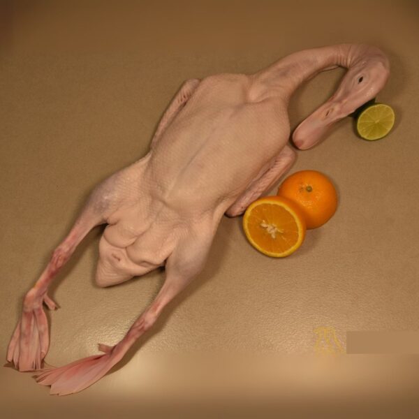 Pekin Duck Whole