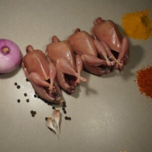 Japanese Quails  ( Pack of 5 pcs)