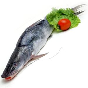 Singhara Fish Boneless (450GM)